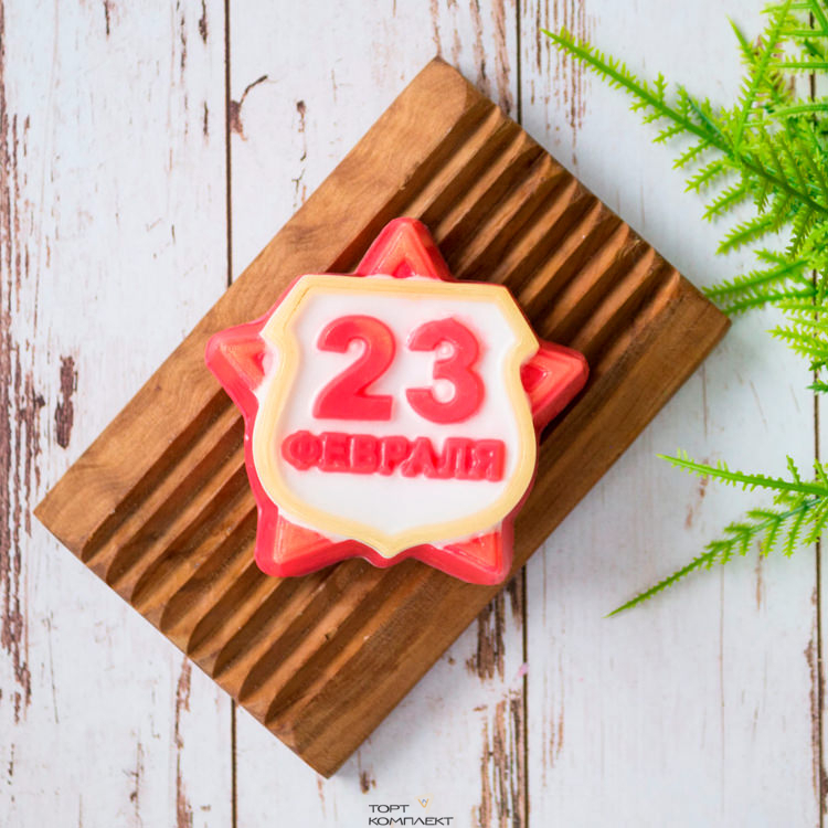 Форма пластиковая для шоколада "23 февраля"